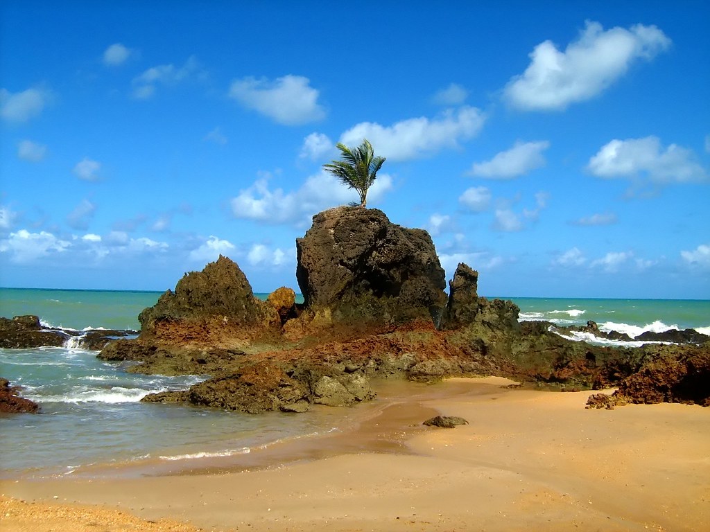 Conheça a praia naturista de Tambaba, na Paraíba Diário do Pará pic